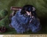 henrietta2